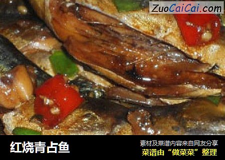 红烧青占鱼