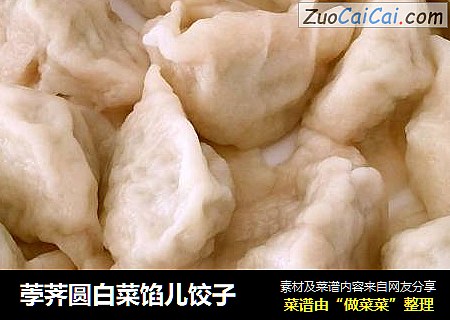 荸荠圆白菜馅儿饺子