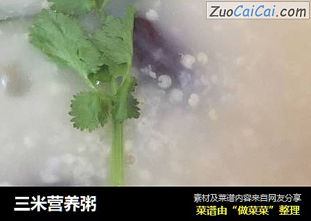 三米营养粥