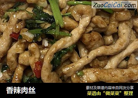 香辣肉丝