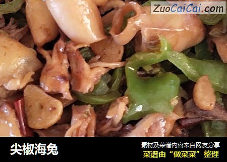尖椒海兔