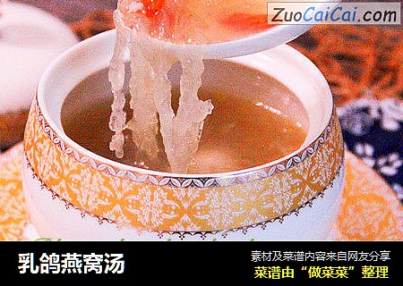 乳鸽燕窝汤