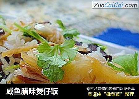 咸鱼腊味煲仔饭