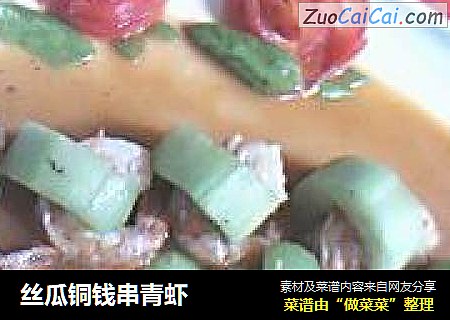 丝瓜铜钱串青虾