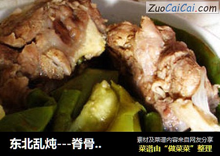 东北乱炖---脊骨炖杂蔬