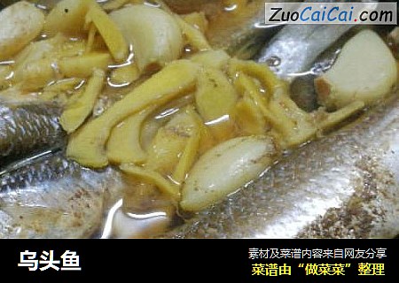 乌头鱼