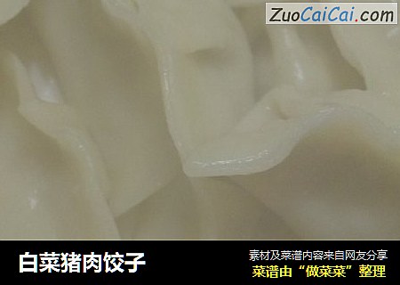 白菜猪肉饺子