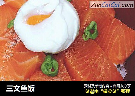 三文鱼饭