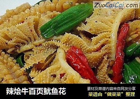 辣烩牛百页鱿鱼花 