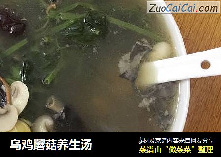 乌鸡蘑菇养生汤