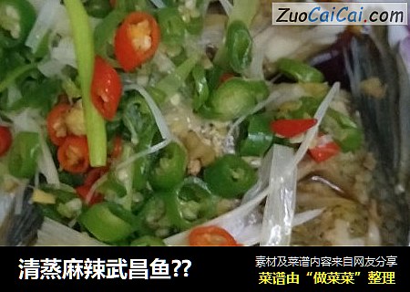 清蒸麻辣武昌鱼??