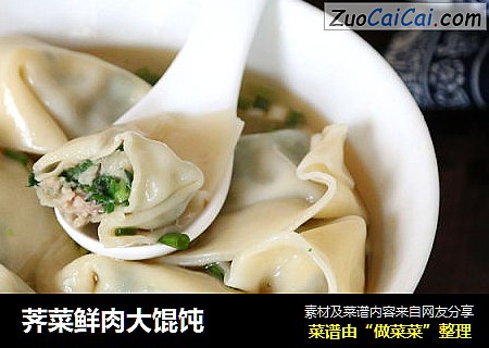 荠菜鲜肉大馄饨