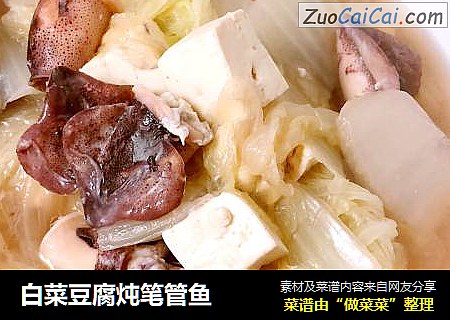 白菜豆腐炖笔管鱼
