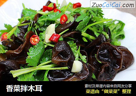 香菜拌木耳