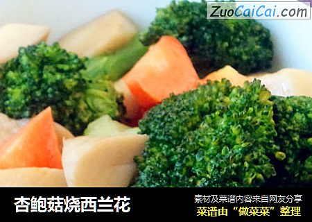 杏鲍菇烧西兰花