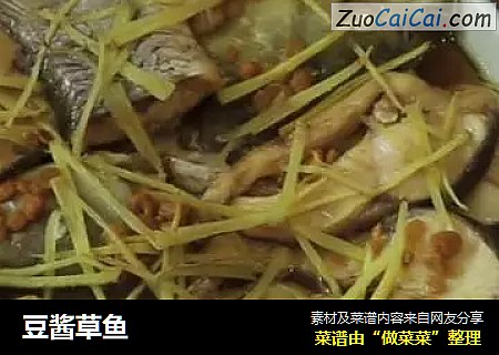 豆酱草鱼