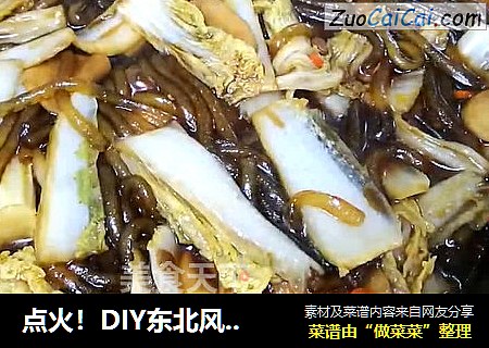 点火！DIY东北风味~热！辣！鲜！香！白菜炖粉条~庄青山