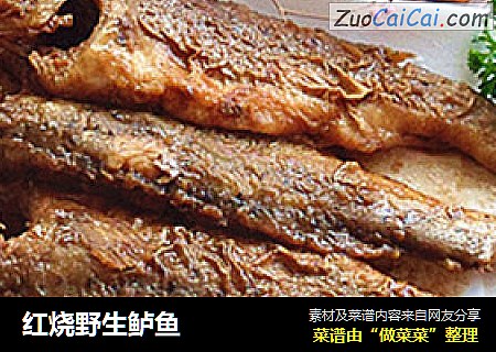 红烧野生鲈鱼
