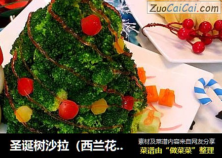 圣诞树沙拉（西兰花土豆泥）