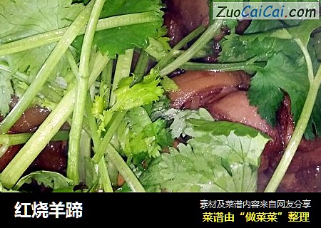 红烧羊蹄