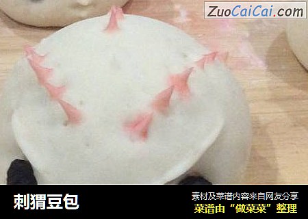 刺猬豆包