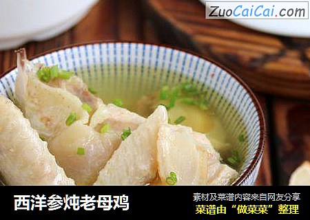 西洋参炖老母鸡
