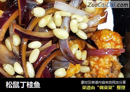 松鼠丁桂鱼