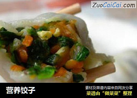 营养饺子