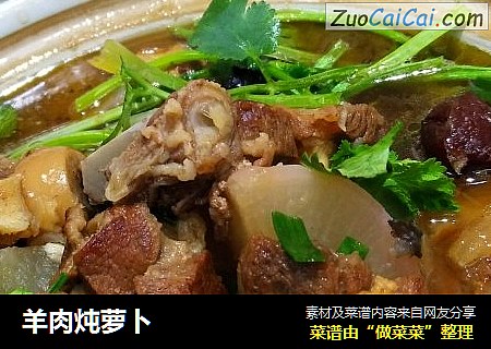 羊肉炖萝卜