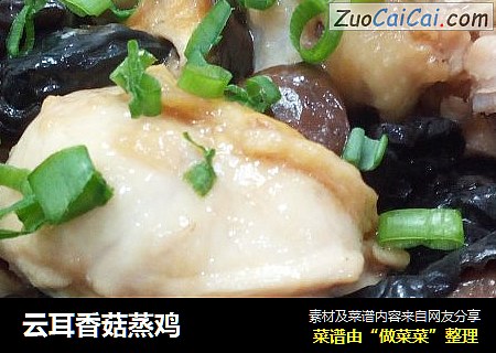 云耳香菇蒸鸡