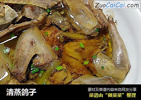 清蒸鸽子