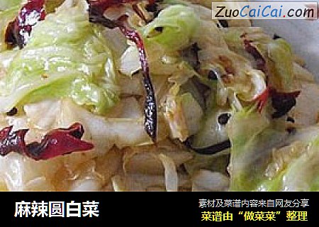 麻辣圆白菜