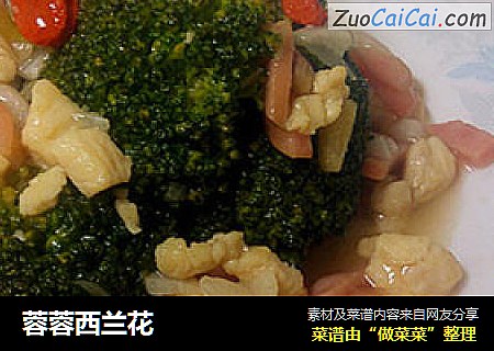 蓉蓉西兰花