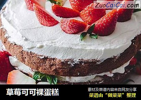 草莓可可裸蛋糕