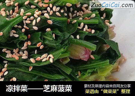 凉拌菜——芝麻菠菜
