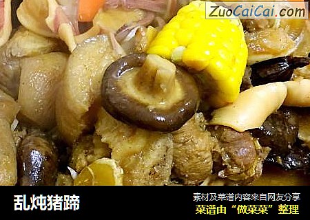 乱炖猪蹄
