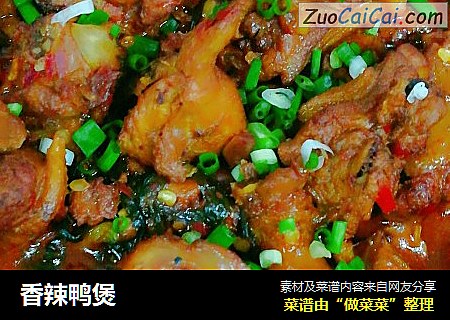 香辣鸭煲