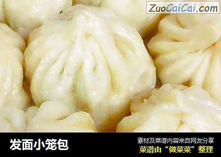 发面小笼包