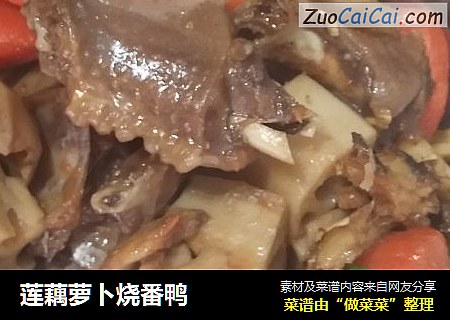莲藕萝卜烧番鸭