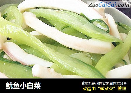 鱿鱼小白菜