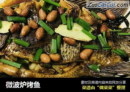 微波炉烤鱼
