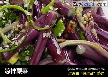 凉拌蕨菜