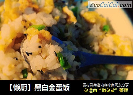 ［懒厨］黑白金蛋饭