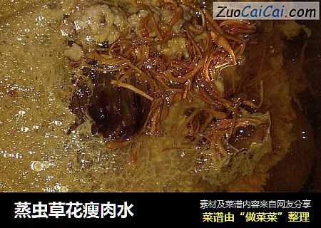 蒸虫草花瘦肉水