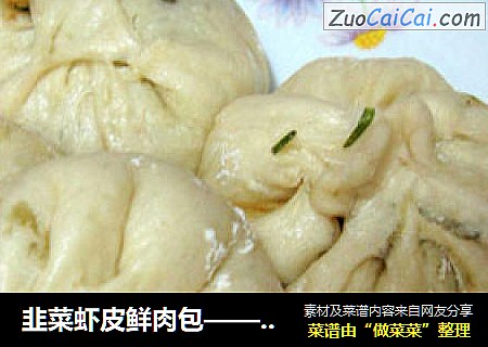 韭菜虾皮鲜肉包——发面无压力：）