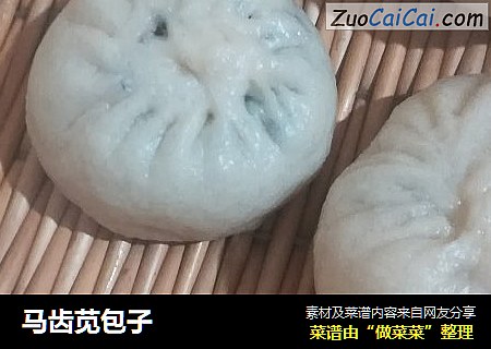 马齿苋包子