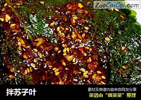 拌苏子叶