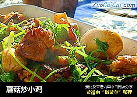 蘑菇炒小鸡
