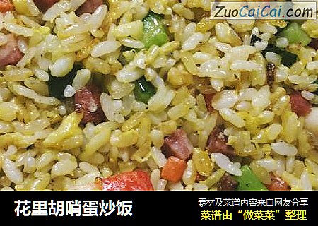 花里胡哨蛋炒饭