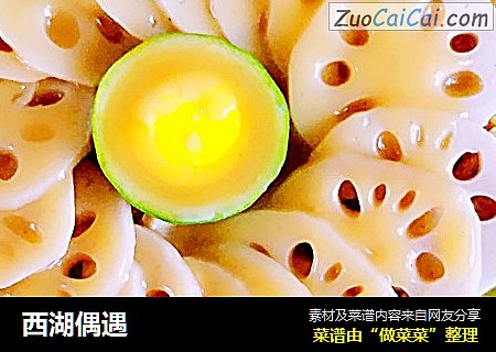 西湖偶遇